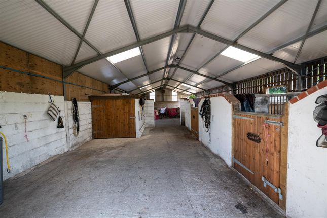 Bentleigh Farm_31.07.24-60.Jpg
