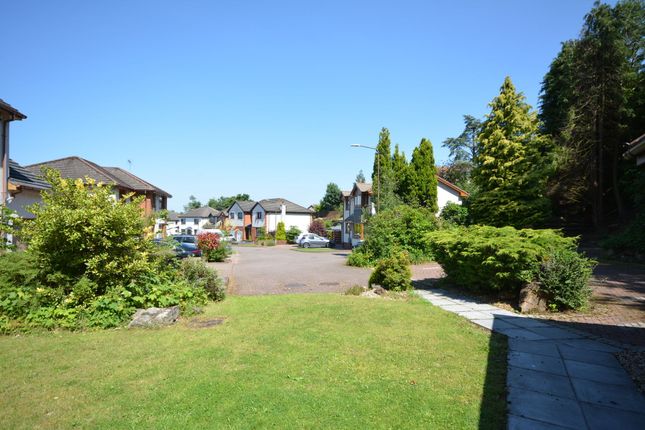 24 The Grange, Falkirk photo 4