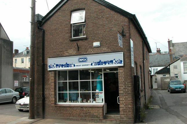 Retail premises to let in Princes Street, Dorchester