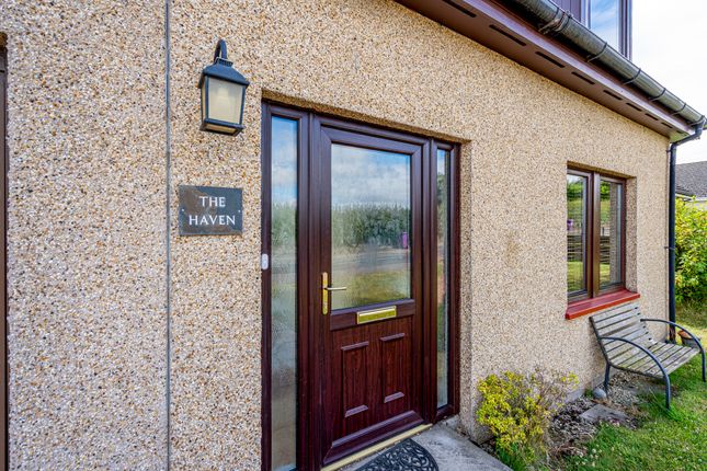 The Haven, Dundee photo 4