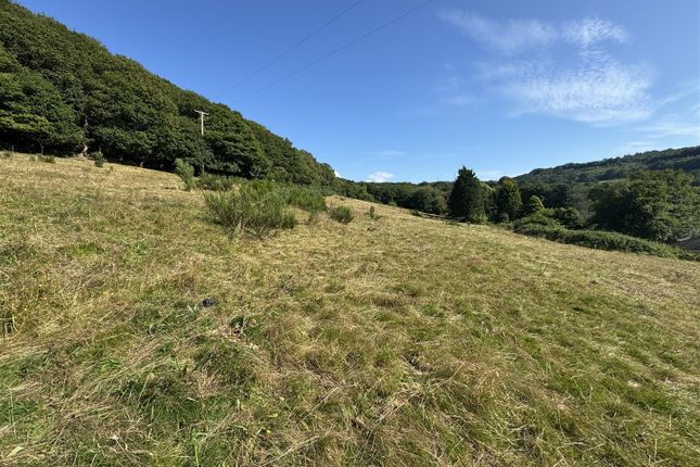 Cwmnantyrallwys Farm, Panthowell Ddu Road, Neath photo 3