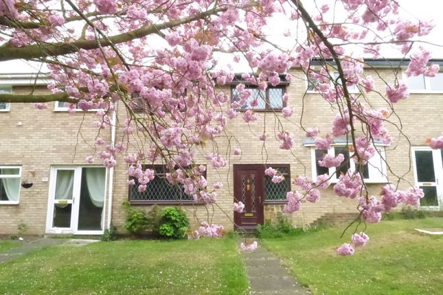 Homes To Let In Aged Miners Cottages Holywell Whitley Bay Ne25
