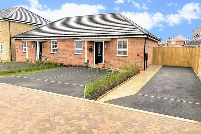 Thumbnail Bungalow to rent in Tansy Road, Whittingham Preston
