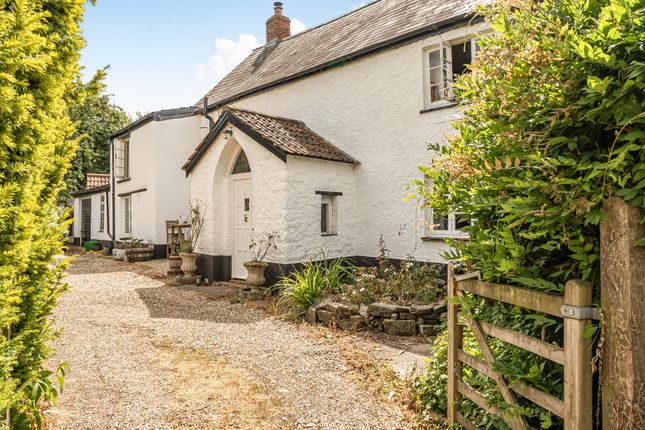 Willhay House, 4 Pond Hill, Tiverton photo 2