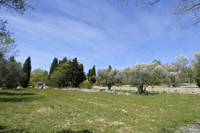 Thumbnail Villa for sale in Fayence, Var Countryside (Fayence, Lorgues, Cotignac), Provence - Var