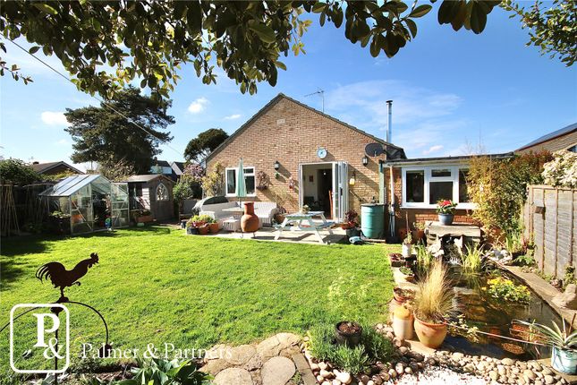 Thumbnail Bungalow for sale in Rose Court, Shotley, Ipswich, Suffolk