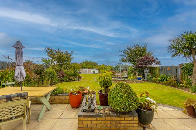 39, Hellis Wartha, Helston photo 2