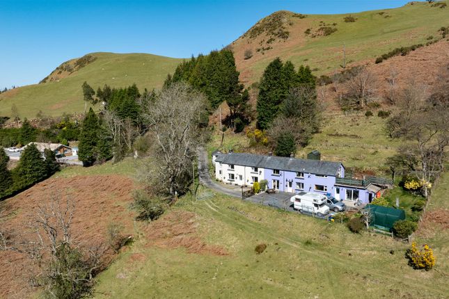 Bryn Heulog, Cwmbrwyno, Aberystwyth photo 3