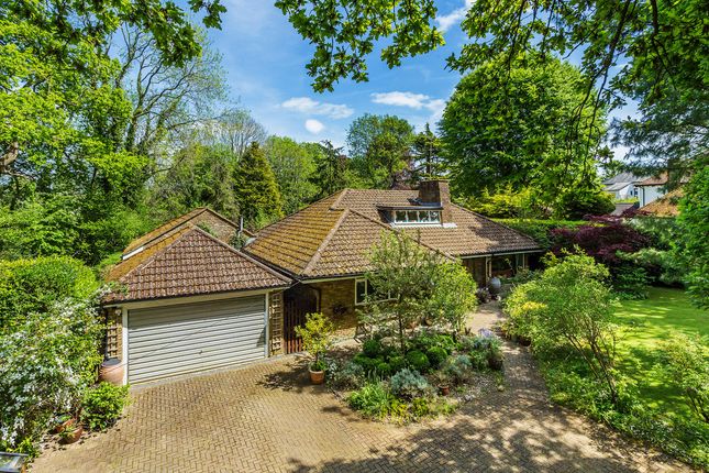 Thumbnail Detached bungalow for sale in Ricketts Hill Road, Westerham