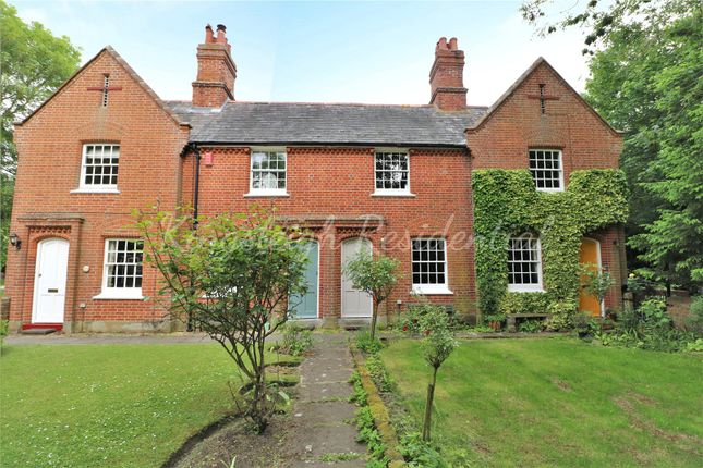 Terraced house to rent in Mill Cottages, Mill Lane, Dedham, Colchester