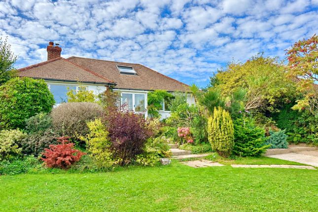 Moondarra, Gorsethorn Way, Fairlight photo 3