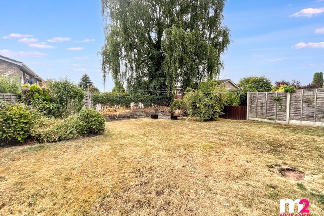 24, Caestory Avenue, Raglan photo 2