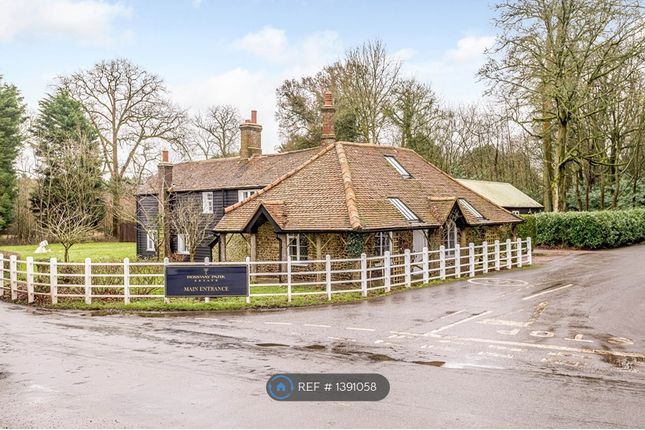 Thumbnail Detached house to rent in Berkhamsted, Berkhamsted