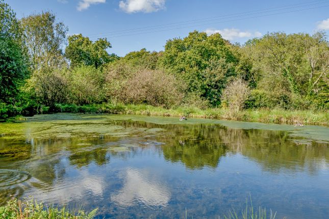 1358931-28-68d169...