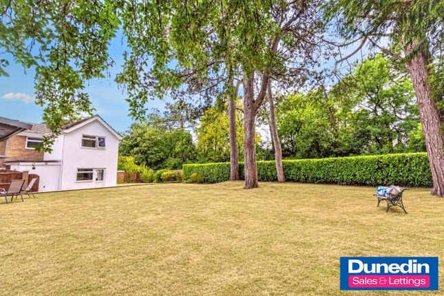 53, Pine Grove, Lickey photo 4