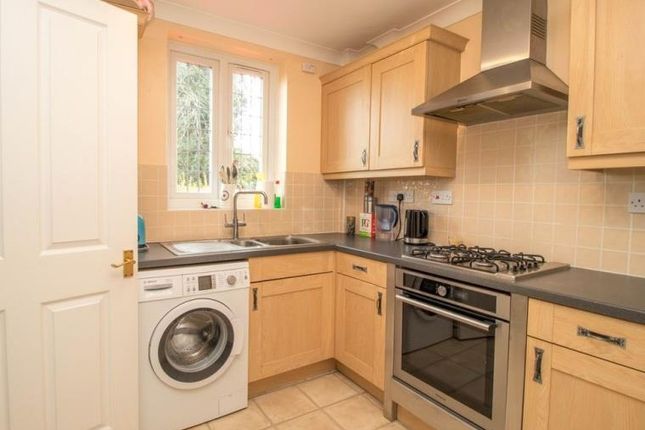 Property to rent in Elmstead Road, Colchester