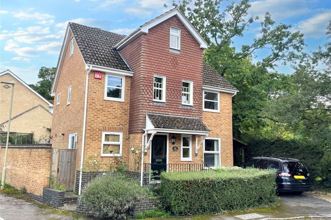 Thumbnail Detached house to rent in Test Close, Petersfield, Hampshire