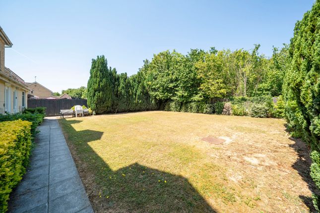 53 Hibiscus Crescent, Andover photo 4