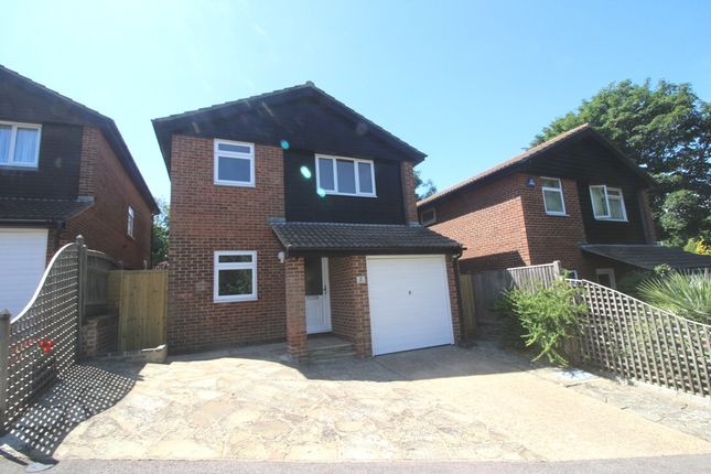 Thumbnail Detached house for sale in Jack O'dandy Close, Little Ratton, Eastbourne