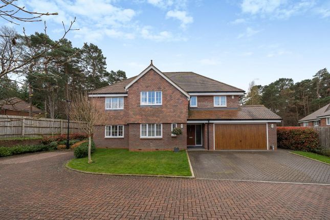 Thumbnail Detached house for sale in Frimley, Surrey