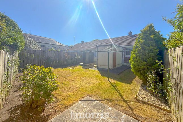 43 Bryn Glas, Cardigan photo 2