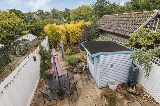 18, The Homing, Cambridge photo 4