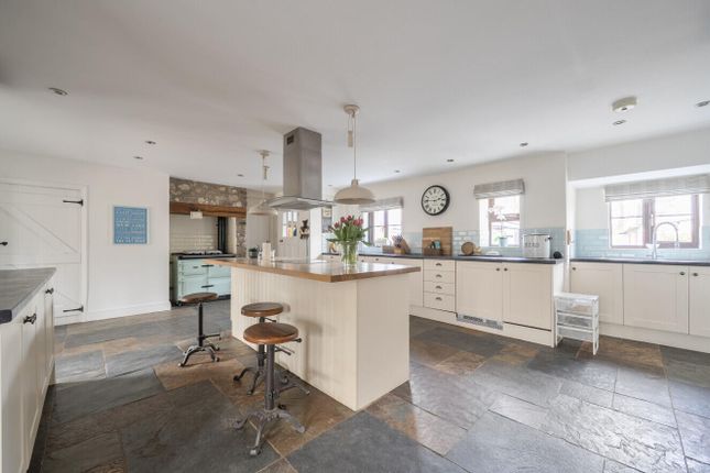 Goodiford Briar, Cullompton photo 3
