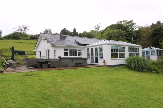 Thumbnail Detached bungalow for sale in Pantperthog, Machynlleth