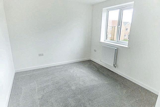 37, Fulmar Drive, Amble photo 5