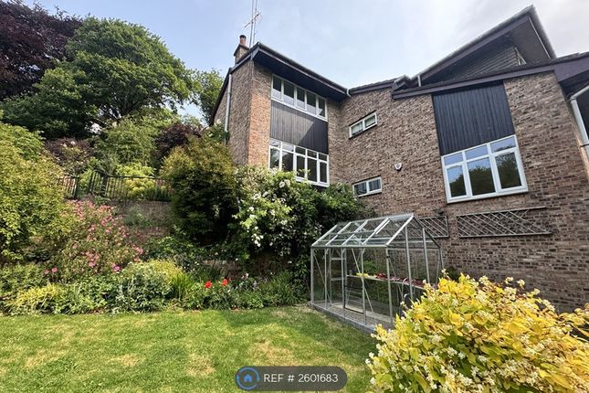View From Garden Of House