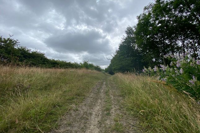 Land for sale in Wood Lane, Brinsworth, Rotherham