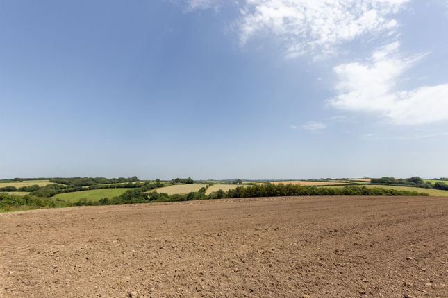 Gratton Hill Farm [Lot 1], Milton Damerel, Holsworthy photo 3