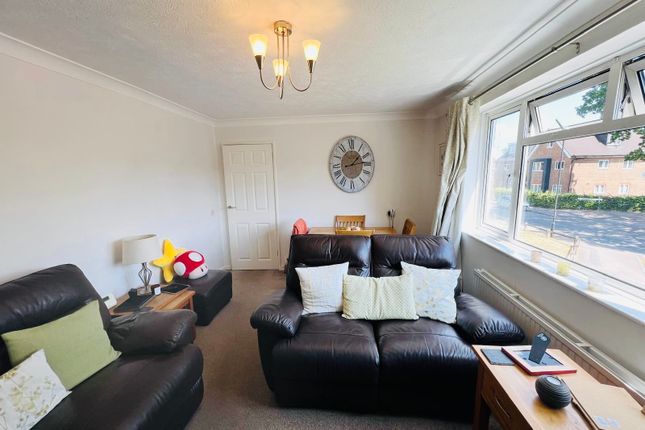 3, Crawley photo 2