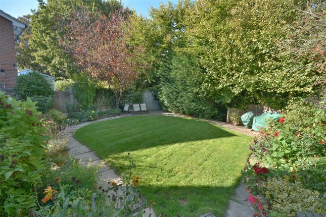 8, Curbey Close, Pulborough photo 3