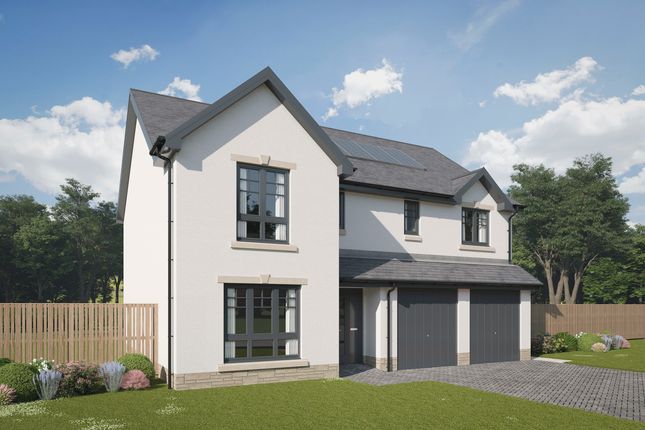 Thumbnail Detached house for sale in "The Ainsdale" at Brixwold View, Bonnyrigg