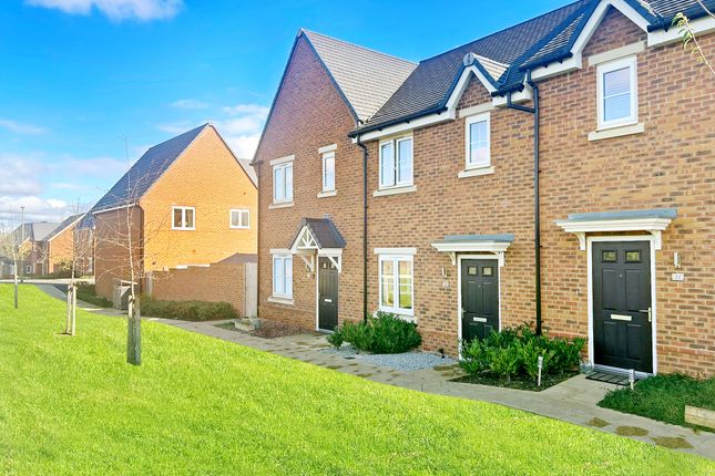 Processed59823126Ff7d47568Baff1925Af4Cf3Ddp