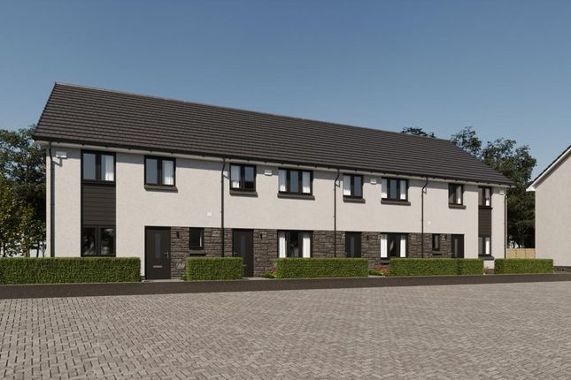 Cedar Brae, Jackton