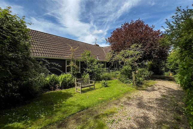 Thumbnail Bungalow for sale in Waterhouse Lane, Ardleigh, Colchester, Essex