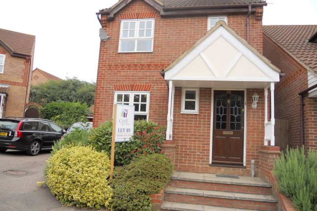 Thumbnail Detached house to rent in Chatsworth Avenue, Kettering