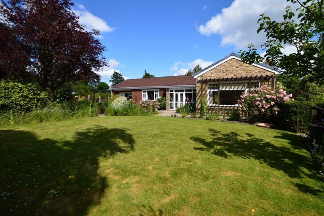 Thumbnail Detached bungalow for sale in Ackworth Road, Pontefract