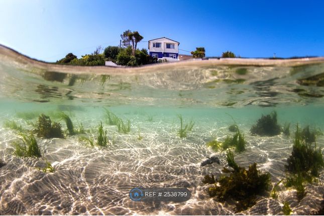 The Beach House