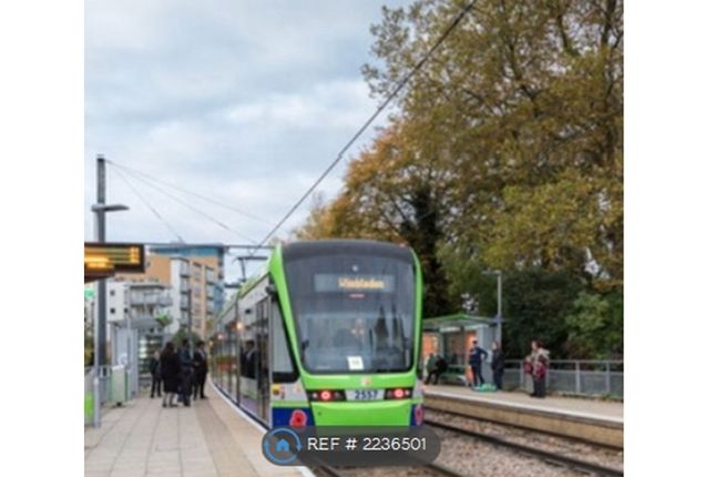 Limes Avenue Cr Jx, Croydon photo 4