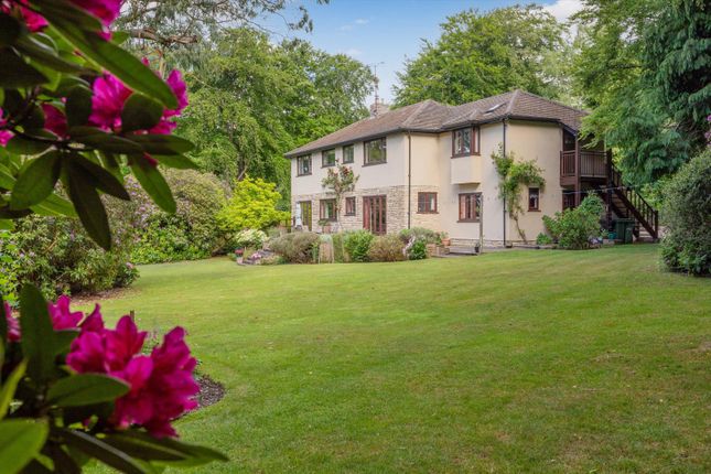 Busgrove Lane, Henley-on-Thames photo 4