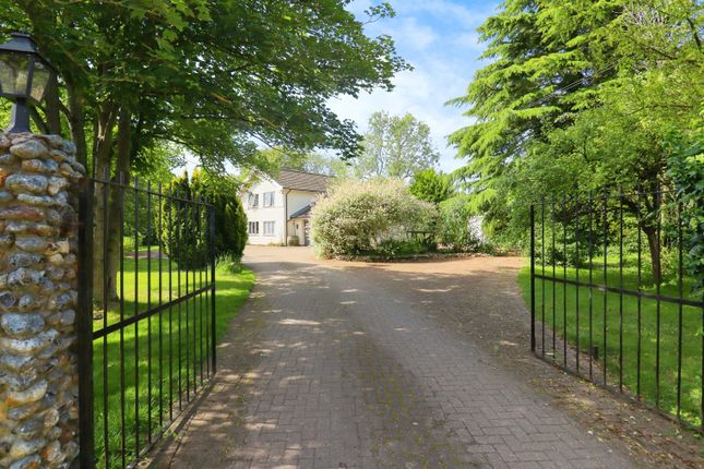 Driveway