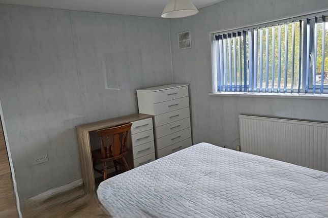 9, Colchester photo 5