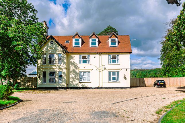 Thumbnail Hotel/guest house for sale in B &amp; B, Wareham