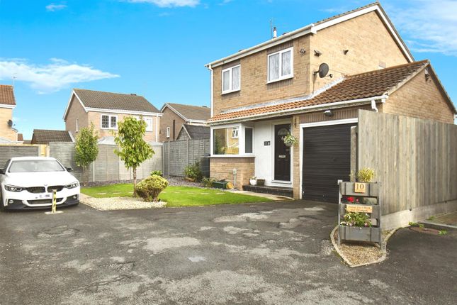 User_Edited_Photo-108380Bb_User-Edited-531Af654-65