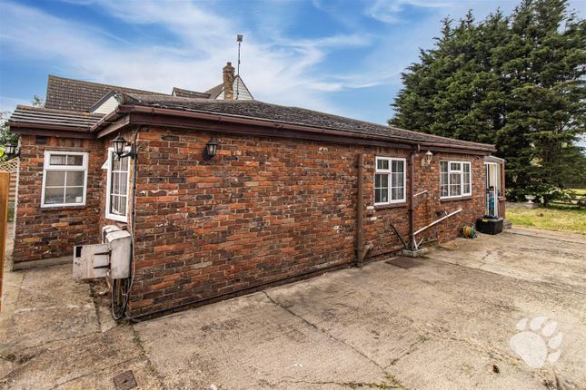 Thumbnail Bungalow for sale in Elm Road, Bowers Gifford