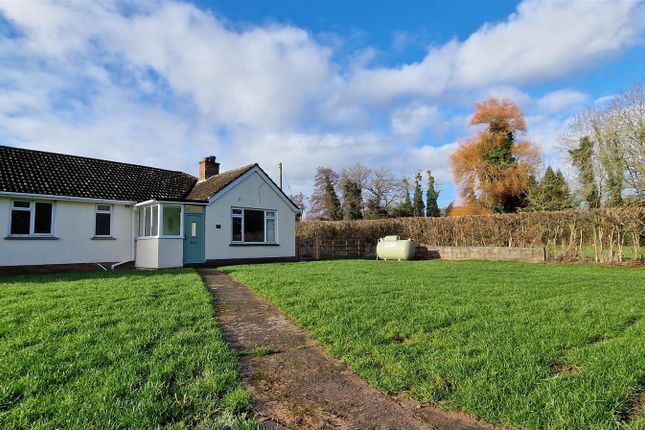 Thumbnail Semi-detached bungalow to rent in Hope-Under-Dinmore, Leominster