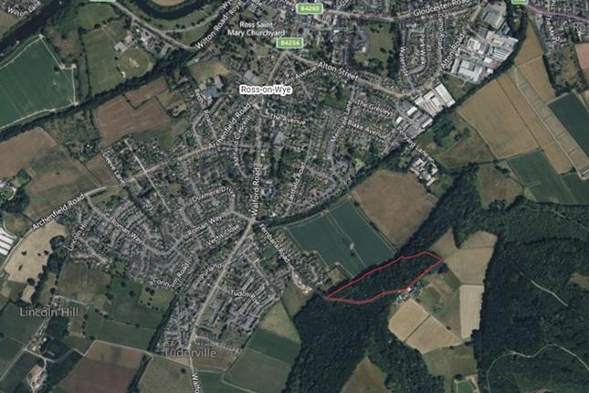 Merrivale Wood Site Plan.Png